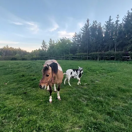 Hétvégi ház Na Wzgorzu *