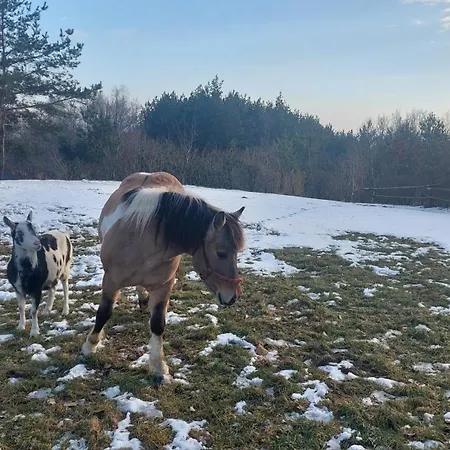Na Wzgorzu カントリーハウス
