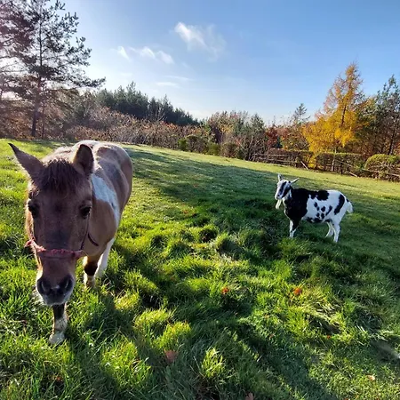 Hétvégi ház Na Wzgorzu