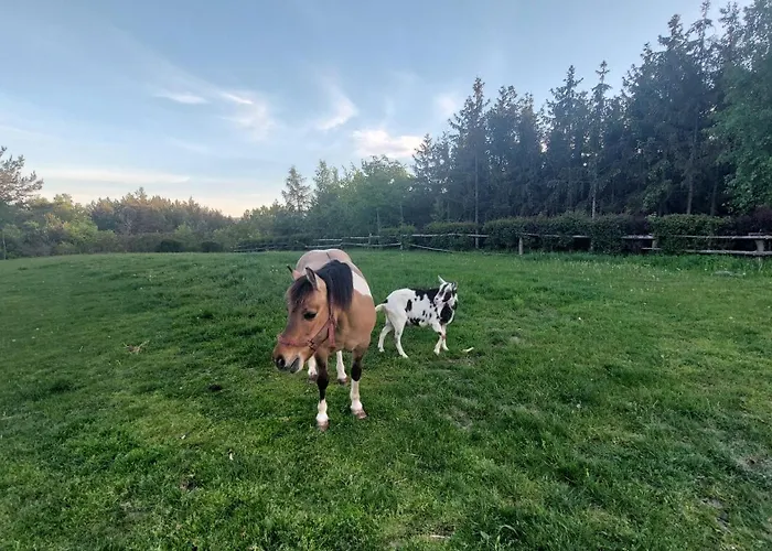 Lantställe Na Wzgorzu *