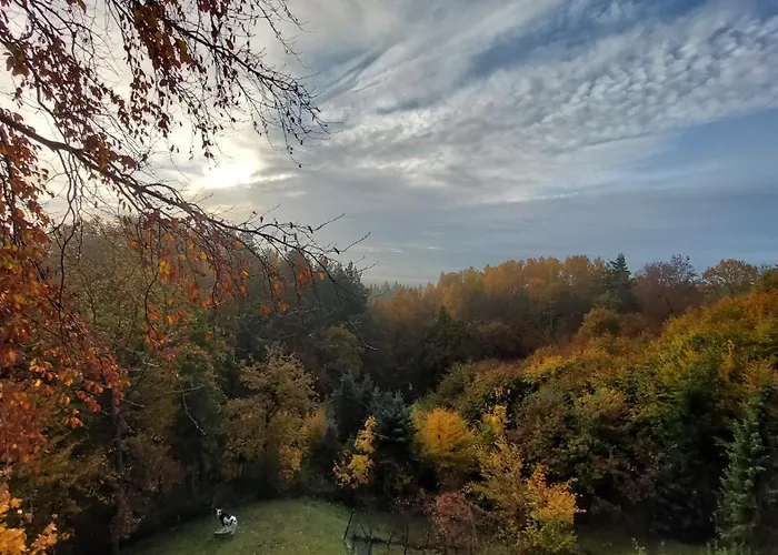 Na Wzgorzu * Połchowo