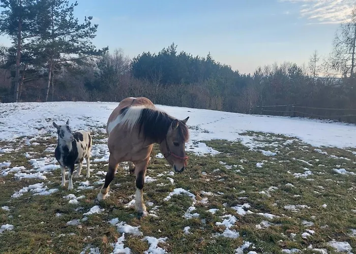 Na Wzgorzu Lantställe