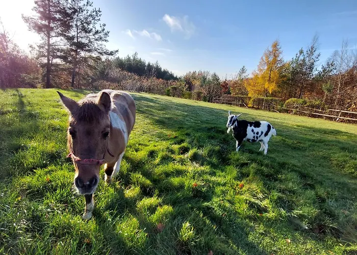 Lantställe Na Wzgorzu